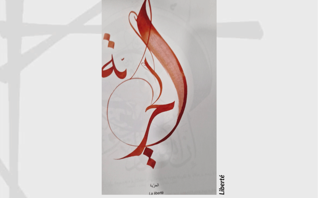 Conférence – 13 mai 2026 – Résurgences du trauma culturel dans la rencontre avec les patients